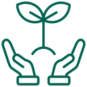 reforestation